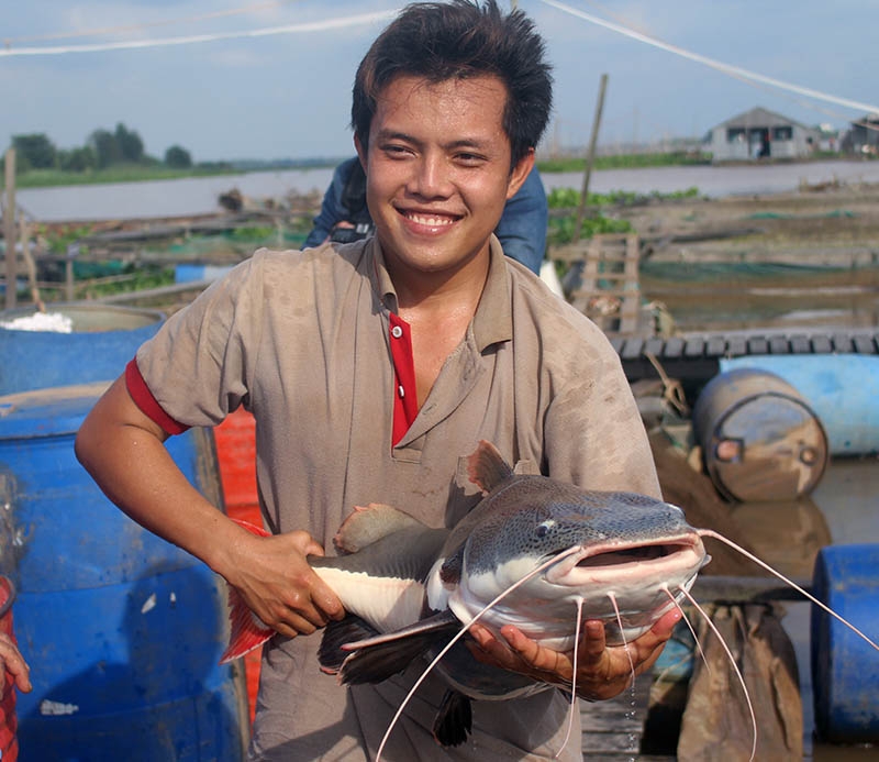 Cá lạ, Thuỷ quái, Cá quý hiếm