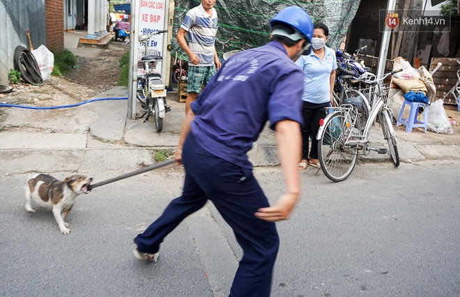 Chó cưng bị Đội săn bắt 