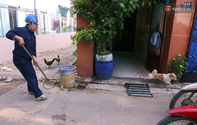 Chó cưng bị Đội săn bắt 