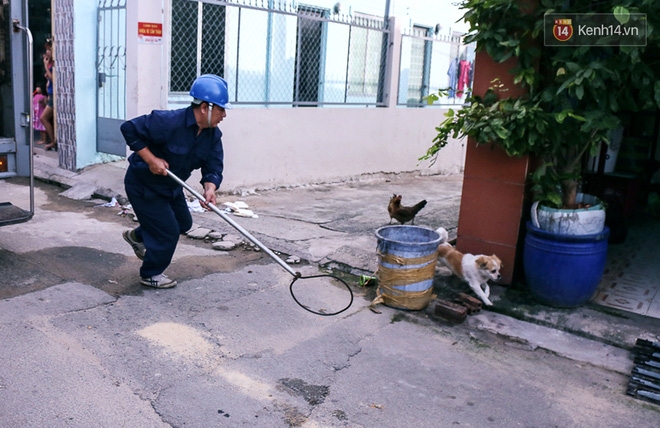 Chó cưng bị Đội săn bắt 