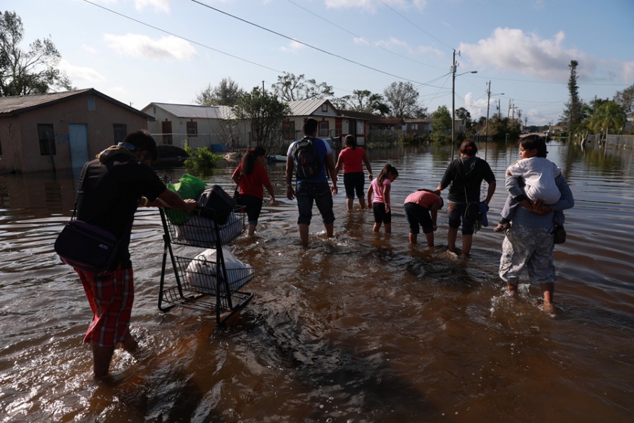 Florida sau sieu bao the ky Irma: Toi tam, lut loi va do nat hinh anh 8