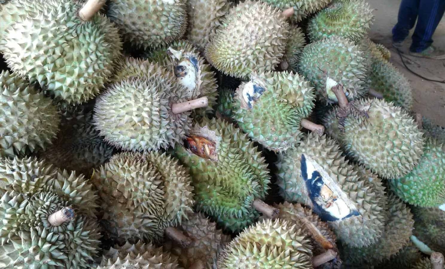 sau rieng tang gia khung, tu thuong “an” ca trai non, tam thuoc nhanh chin hinh anh 2