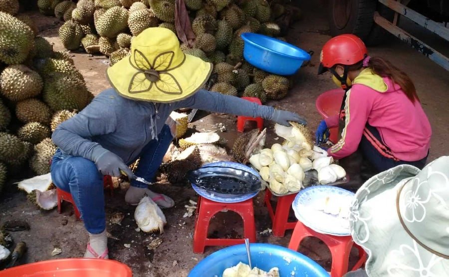 sau rieng tang gia khung, tu thuong “an” ca trai non, tam thuoc nhanh chin hinh anh 3