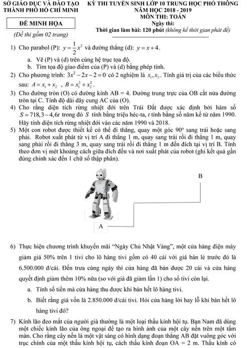 Sở GD&ĐT TP.HCM công bố đề thi minh họa lớp 10 - ảnh 1