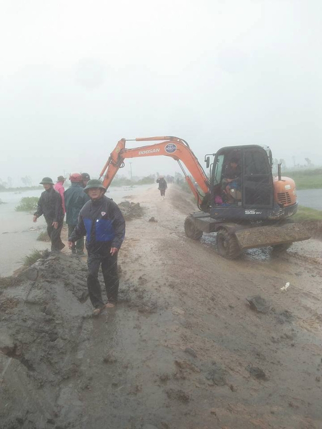  Đắp đất gia cố đê 