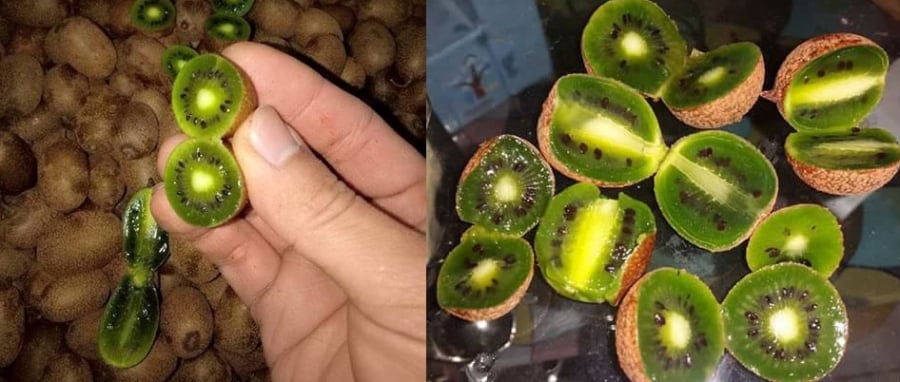 kiwi berry, hoa quả độc lạ, hoa quả nhập khẩu, hoa quả nhập ngoại, hoa quả cao cấp, quả lạ