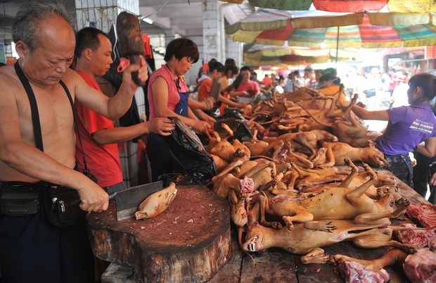10 điều thú vị về đất nước Trung Quốc mà không phải ai cũng biết - Ảnh 1.
