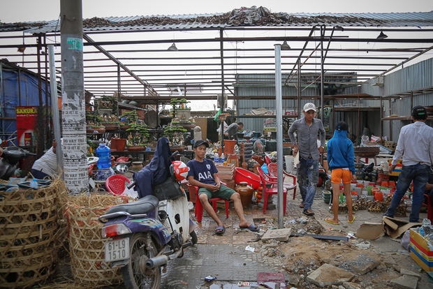 Chính thức xóa sổ 50 ki-ốt gần sân bay Tân Sơn Nhất, hàng trăm con chó mèo, thỏ con... không biết sẽ về đâu - Ảnh 2.
