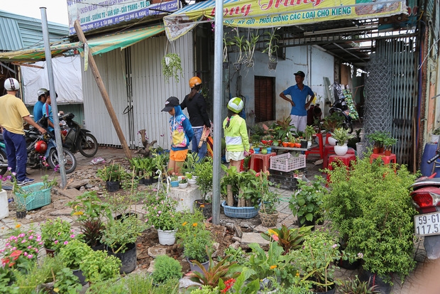 Chính thức xóa sổ 50 ki-ốt gần sân bay Tân Sơn Nhất, hàng trăm con chó mèo, thỏ con... không biết sẽ về đâu - Ảnh 4.