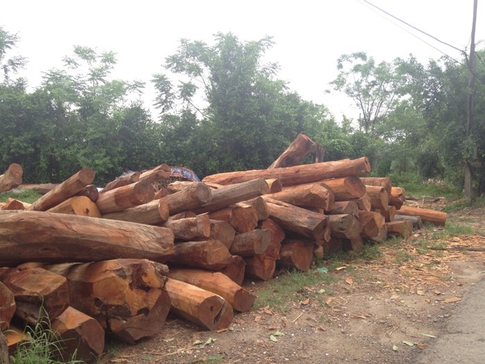 nhà gỗ, gỗ mít, gỗ lim, gỗ quý