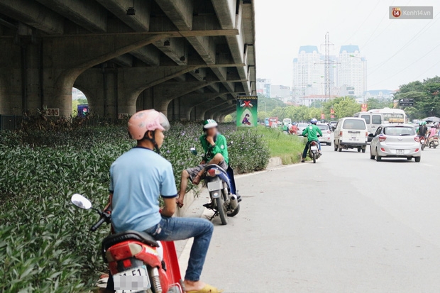 Bát nháo cảnh hàng chục tài xế xe ôm mặc áo giả GrabBike bắt khách ngay bến xe Mỹ Đình - Ảnh 3.