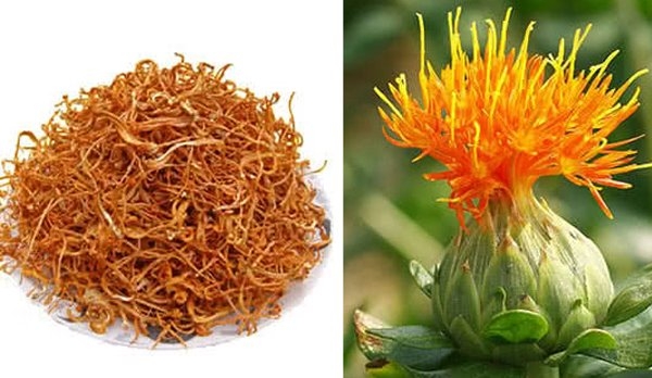 trà tây tạng, trà sen núi, trà hoa hồng tây tạng, trà nhập khẩu
