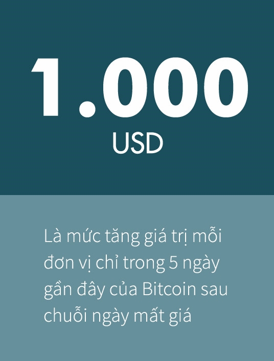 Gia Bitcoin bat tang tro lai, danh dau thoi ky khong co Trung Quoc hinh anh 1