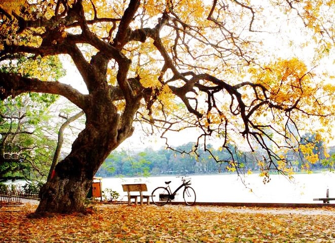 Kết quả hình ảnh cho mùa thu