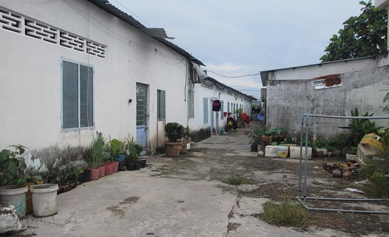 Bạo hành, Bạo hành trẻ em, Vĩnh Long