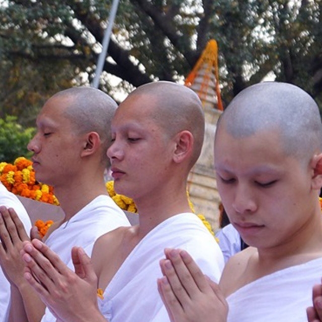 Cuoc song sau khi xuat gia cua hoa hau chuyen gioi Thai Lan hinh anh 7