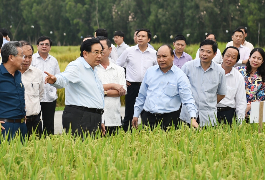 'Hoi nghi Dien Hong' ban quyet sach cho Dong bang song Cuu Long hinh anh 1