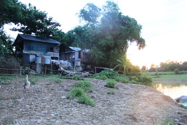 nghe an: bo song lam sat lo, hang tram ho dan lo lang hinh anh 3
