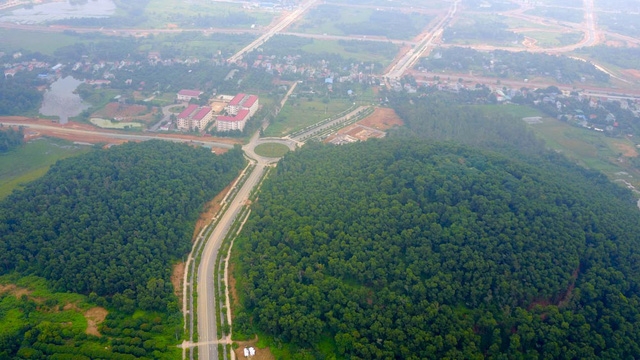  Phần lớn diện tích dự án vẫn phủ cây cối. 