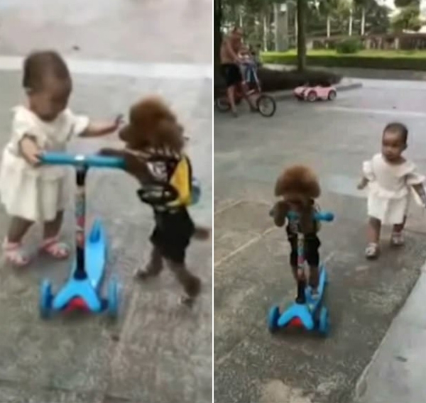 cho-cuop-scooter-cua-em-be-lai-di-thoan-thoat