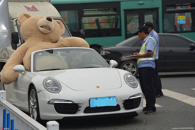 mang xe 8 ty va gau khong lo to tinh, chàng trai vãn bị tù chói phũ hinh anh 1
