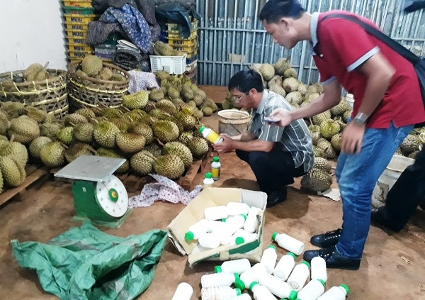 Sầu riêng, nhúng hóa chất, xử phạt, Gia Lai