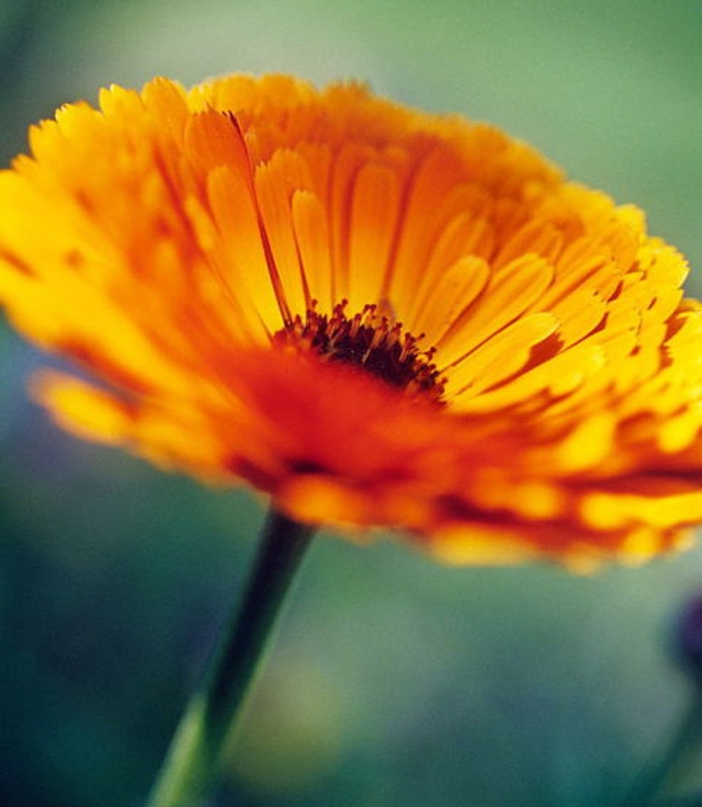 9 bi mat chi co o nhung be sinh thang 10 chac chan me chua biet - 4