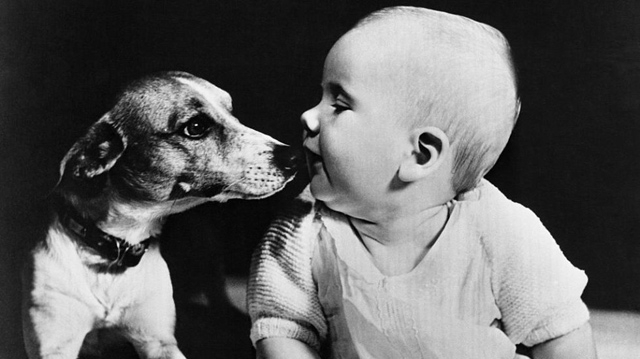 9 bi mat chi co o nhung be sinh thang 10 chac chan me chua biet - 5