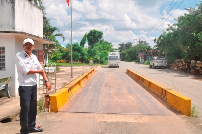 Cận cảnh lò tiêu hủy gần 4000 con heo bị tiêm thuốc “an thần” - ảnh 19