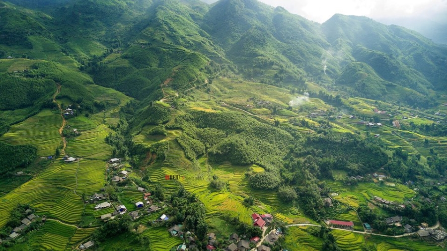Canh sac nhu tranh cua Sa Pa mua lua chin hinh anh 2