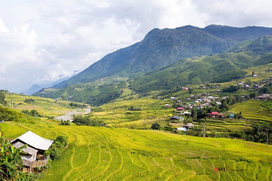 Canh sac nhu tranh cua Sa Pa mua lua chin hinh anh 4