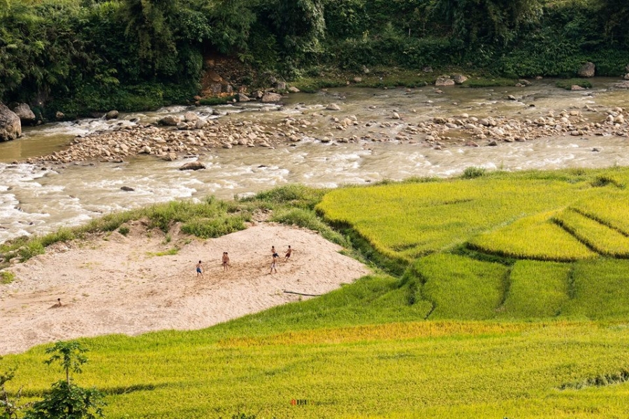 Canh sac nhu tranh cua Sa Pa mua lua chin hinh anh 5