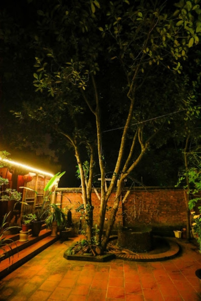 phu tho to nghiep 1.000m² toan do co cua vuong rau khong thua kem phu cua hoai linh - 11