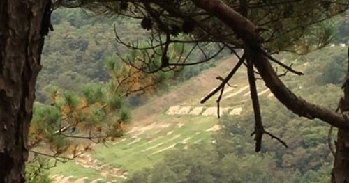 Một trường bắn của quân đội tại huyện Cheorwon, tỉnh Gangwon. Ảnh: Yonhap.