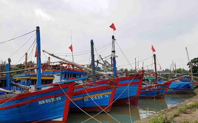 Nghe An, Ha Tinh cam bien tu chieu nay hinh anh 1