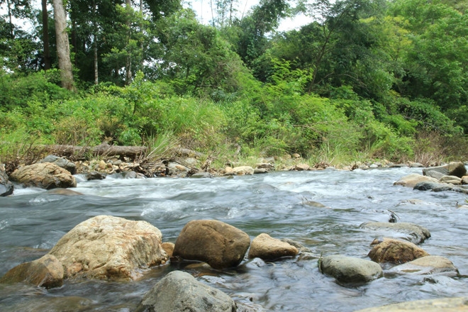 Nu phuot thu tu vong vi lu cuon khi xuyen rung Ta Nang - Phan Dung hinh anh 1