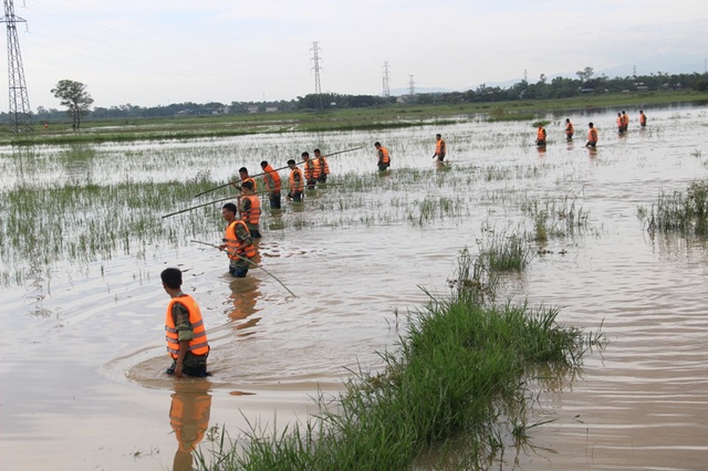  Các chiến sĩ giăng lực lượng tìm trên các cánh đồng. 