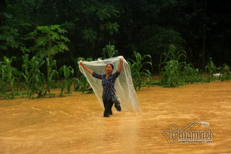 mưa lũ, lũ lụt, ngập lụt, Hòa Bình
