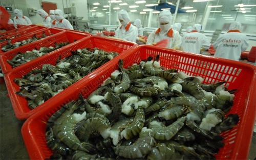 Nơm nớp lo hải sản bị “thẻ vàng” ở EU