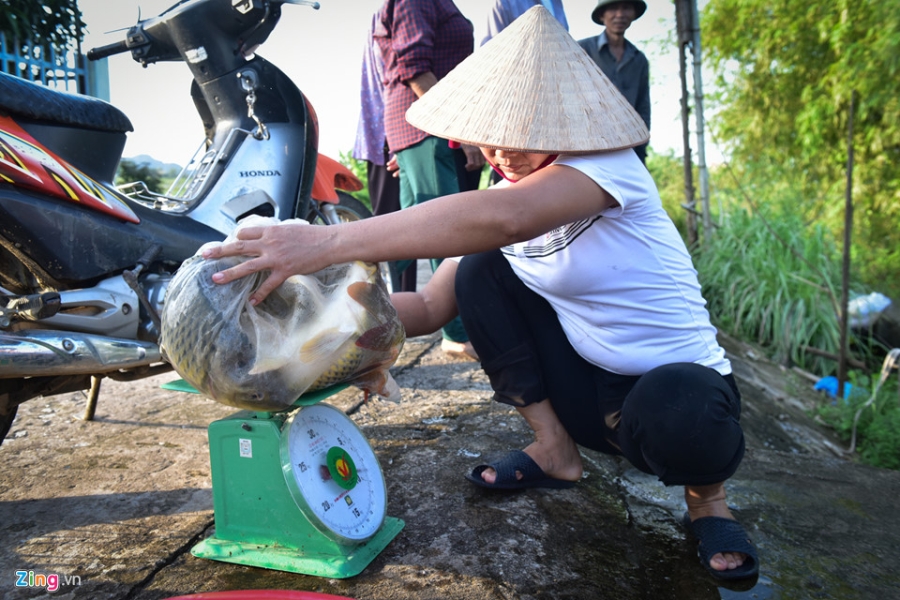 Bat ca moi tay trong nuoc lu hinh anh 7