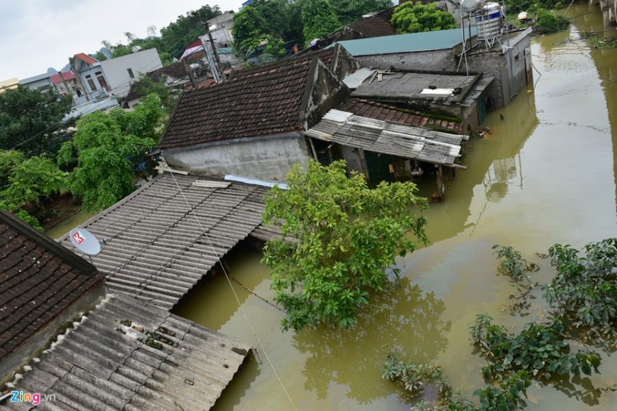 Canh 'an nho o dau' sau tran lu hinh anh 1