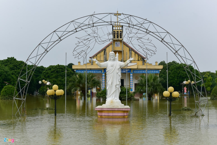 Canh 'an nho o dau' sau tran lu hinh anh 4