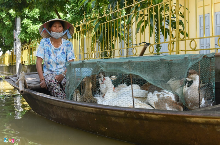 Canh nuoc ngap tan noc nha o Ninh Binh hinh anh 12