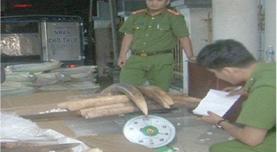 Chien si bien phong tham gia van chuyen lau gan 1,5 tan nga voi hinh anh 1