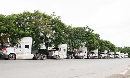 Mang sinh le den nha gai o Hai Phong bang dan xe dau keo 10 ty dong hinh anh 3