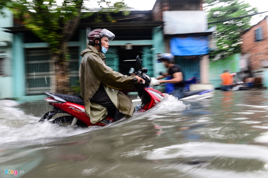 Nguoi Sai Gon ra duong bat ca sau tran mua lon suot dem hinh anh 2