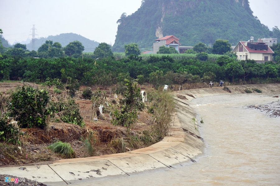 Cánh đồng cam nổi tiếng bị ngập nặng, thiệt hại hàng tỷ đồng hình ảnh 8 Canh dong cam noi tieng bi ngap nang, thiet hai hang ty dong hinh anh 8