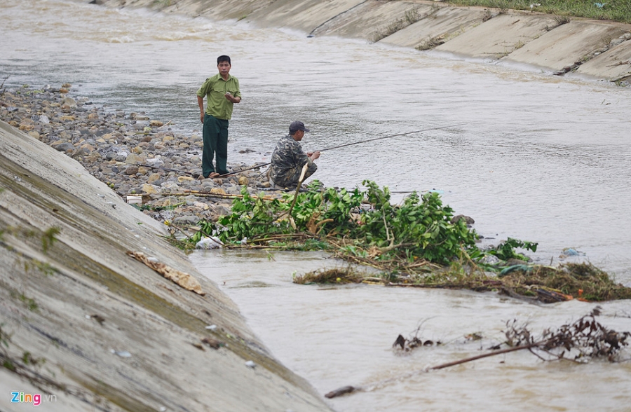 Cánh đồng cam nổi tiếng bị ngập nặng, thiệt hại hàng tỷ đồng hình ảnh 11 Canh dong cam noi tieng bi ngap nang, thiet hai hang ty dong hinh anh 11