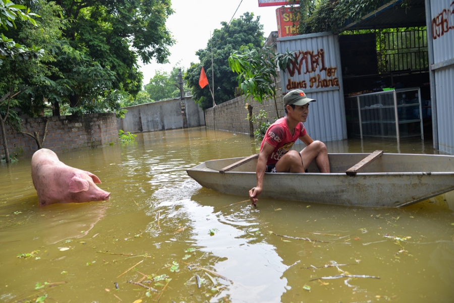 Nuoc van chua rut, dan Ha Noi che be 'dac chung' hinh anh 14