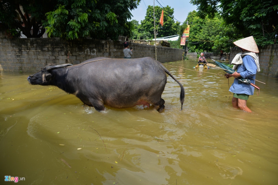 Nuoc van chua rut, dan Ha Noi che be 'dac chung' hinh anh 15